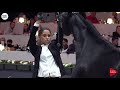 N.132 BENJHY - Paris 2018 - Senior Stallions (Class CM 6A)