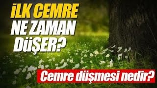 Cemre Düşmesi Nedir? Hangi Tarihlerde Düşer? Resimi