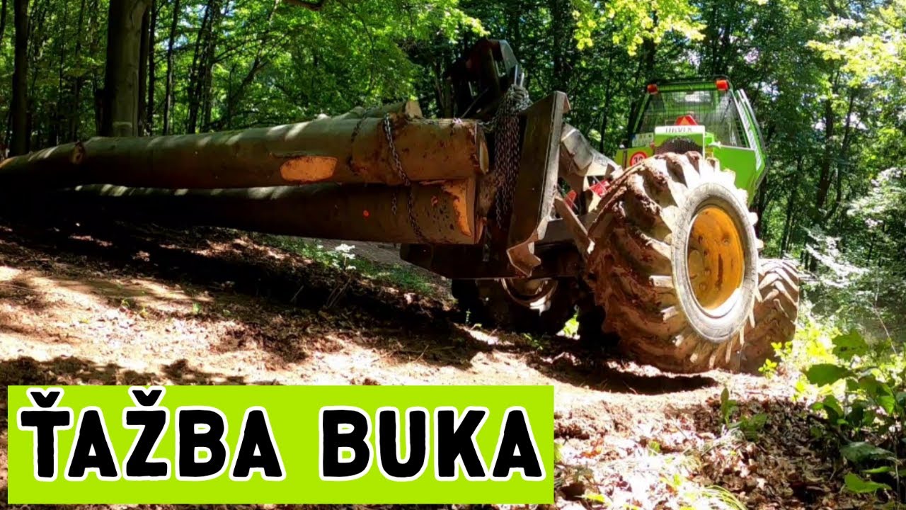 Ťažba Buka s Orvex LT 100, Working in forest, Stihl ms 462,@Amles