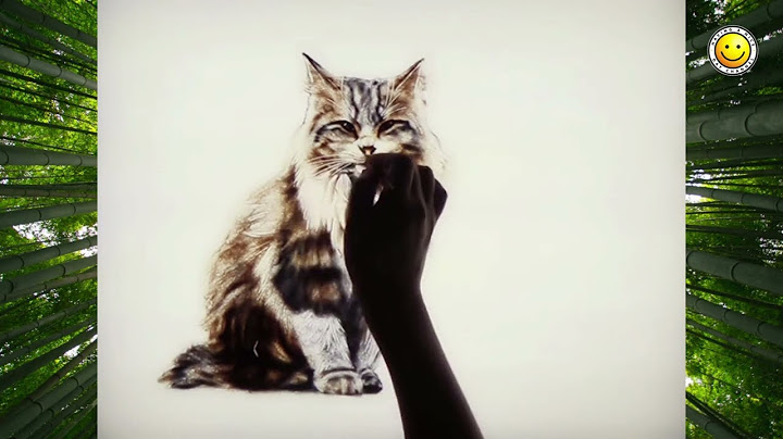 Magical Cat Sand Art: Making a Cat Portrait With Sand That Will Blow Your Mind? | Having A Nice Day