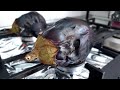 How to roast eggplant   stove top  fast