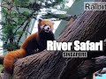 River Wonders Singapore Walking Tour | 2021 | River Safari
