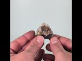 Vidéo: Salmiac, Terrils St Etienne, France, 42 grammes