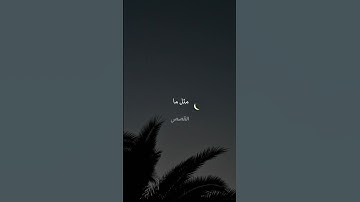 قال اللذين يريدون الحياه الدنيا . قران سوره القصص #سعود_الشريم #القرآن_الكريم