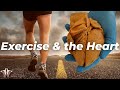 How the Heart Changes with Exercise