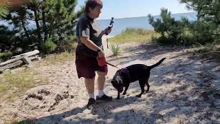 Slaughter Beach, Delaware, the boyz see the ocean for the first time! by GONE SPLORIN' 90 views 9 months ago 11 minutes, 39 seconds