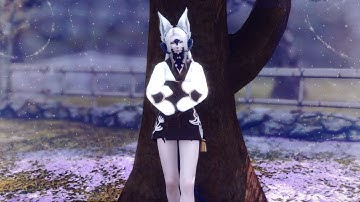 Final Fantasy XIV: Macro Dance "What does the fox say?"