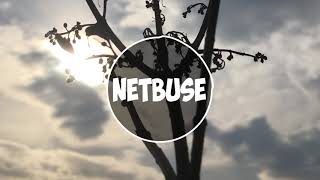 Netbuse - Time