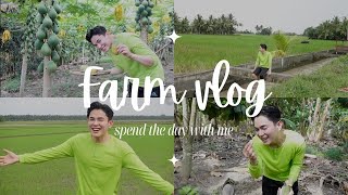 KIER KING HAMPIR DISERUDUK SAPI!! FARM VLOG #27