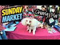 Sunday Market Chiang Mai | Walking Street | Thailand