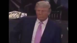 Tramp BOSS!!!!