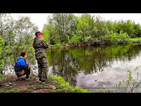 Ловля КАРАСЯ на поплавочную удочку и спиннинг. Поплавок vs отводной. Анатолич тягает карасей