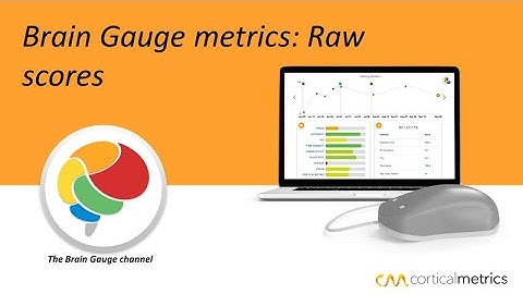 Brain Gauge metrics:  What do the raw scores mean?