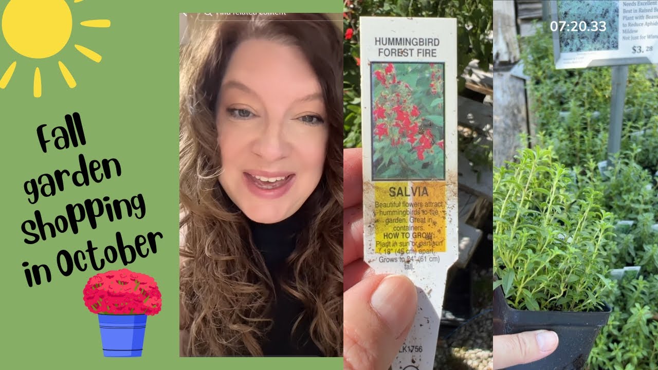 Fall plant shopping in October in Texas zone 9a gardening fallgarden
