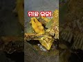 #ମାଛଭଜା#youtubeshorts #food #yummyrecipe #cripsettv #cooking