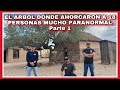 AVENTURA NUMERO 319 EL ÁRBOL DE LOS 18 AHORCADOS POR ROBAR MINERALES PARTE 1