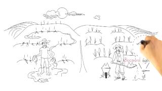 How Safe Is Your Food?