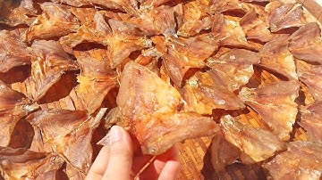 Cách làm KHÔ CÁ PHI màu đẹp tự nhiên rất ngon