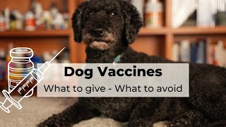 Dr Andrew Jones explains: WHAT Dog Vaccines to GIVE, and what NOT to screenshot 2