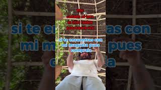 Que haces que no estás escuchándola? #dancehall #shatta #reggae