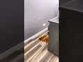 Makes moving easy!