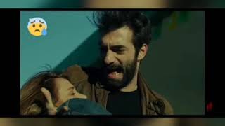 Hasretinden Prangalar Eskittim. Şiiri, Ahmet Arif.