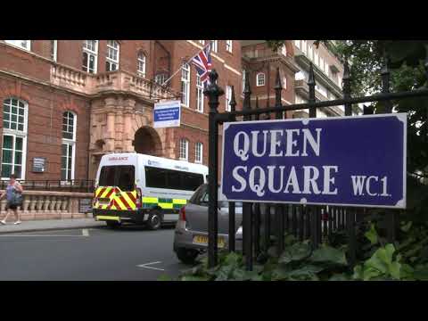 MSc Advanced Neuroimaging course overview | Queen Square Institute of Neurology