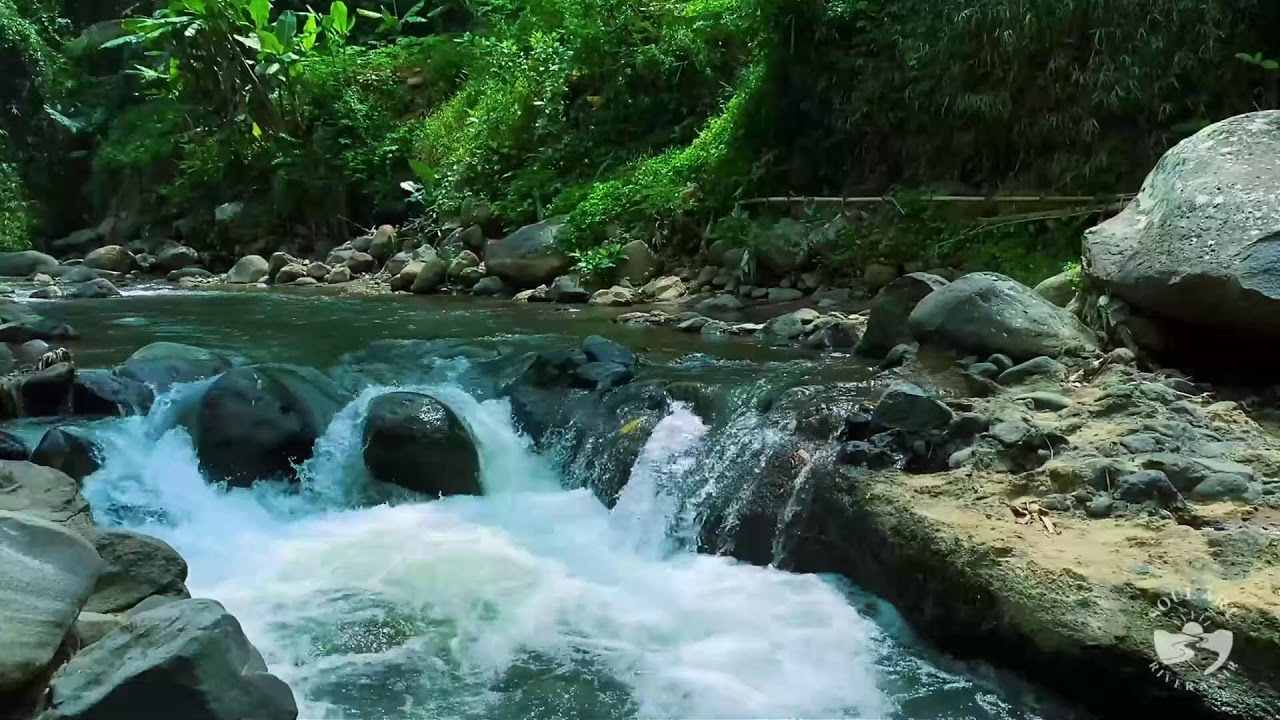 River Sounds & waterfall Sounds for Sleeping | Nature Stream for Relaxing & Stress Relief. #river 5