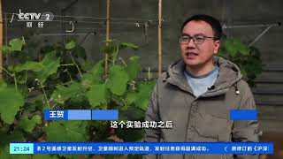 [经济信息联播]葡萄酒小镇：千年历史沉淀佳酿| 财经风云