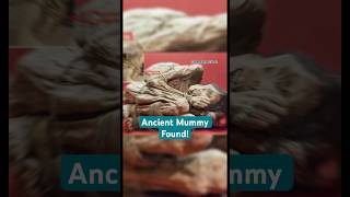 Ancient Chimu Mummy Found in Peru’s Desert#archaeology #history #facts