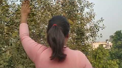 Directions - Class 5 - Mapping your way - Maths