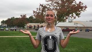 WGCH NEWS: Pie in the Face Package (2017)