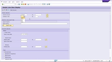 SAP FICO Rollout Project - Block at Terms of Payment Level