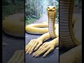 Travel explore. #nature #travel #automobile #python#snake #trendingshorts #viralvideo #shorts