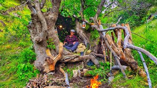 Building SHELTER inside Big TREE - Bushcraft SURVIVAL Camping _ Primitive Fireplace,Outdoor Cooking