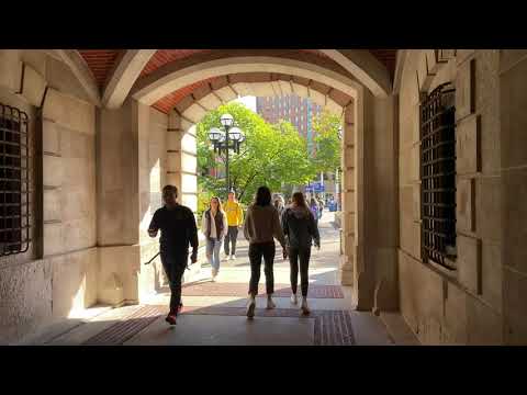 Walk through University of Michigan, Ann Arbor downtown. [4K]