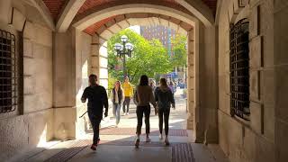 Walk through University of Michigan, Ann Arbor downtown. [4K]