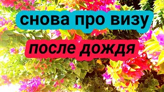 Шарм эль Шейх 6 февраля 2021 г Информация про визу После дождя