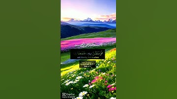 سوره العاديات #المصحف #اكسبلور #قران