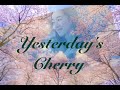 Yesterday&#39;s Cherry （Remix）