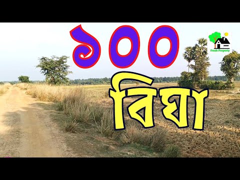 ভিডিও: ভারতে চাষের জমি কত?