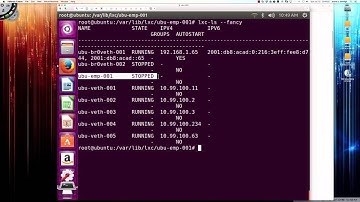 Linux Containers (LXC) Networking Deep Dive - Video 005 - LXC empty Adapter Type