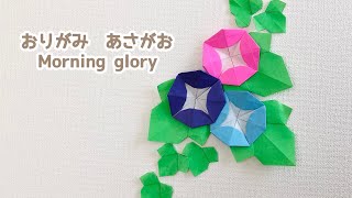 【折り紙 花】簡単 朝顔(あさがお)の折り方 Origami Morning glory flower 夏 葉っぱ 可愛い