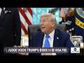 Federal judge blocks President Trump's $100,000 H-1B visa fee