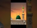 new video naat sahrif#  Aisha parveen- w6s#trending #love #yt#ytshorts