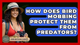 How Does Bird Mobbing Protect Them From Predators? - Bird Watching Diaries
