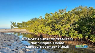 A Relaxing Beach Walk at Clam Pass During Low Tide on a Beautiful Sunday Morning in North Naples, FL