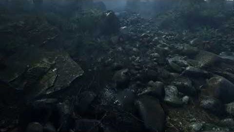 Test Scenes The Forest[UE4]