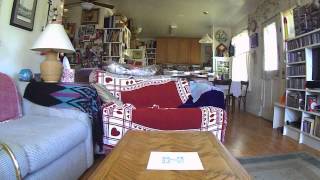 quadcopter flight #1.0