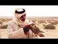 سق ياسعد سق ياسعد